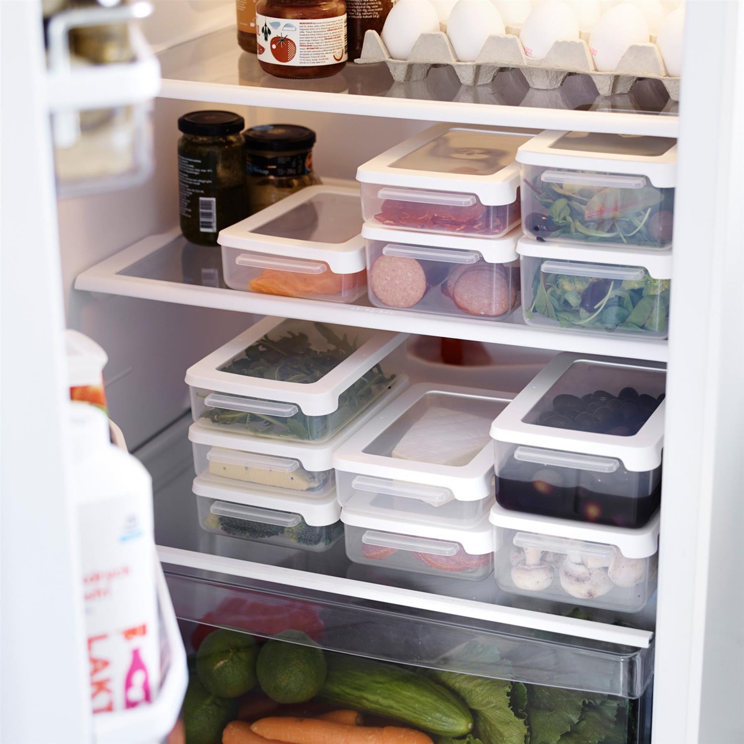 Airtight Food Storage Container - 0.6 Litre - Not A Boring Box