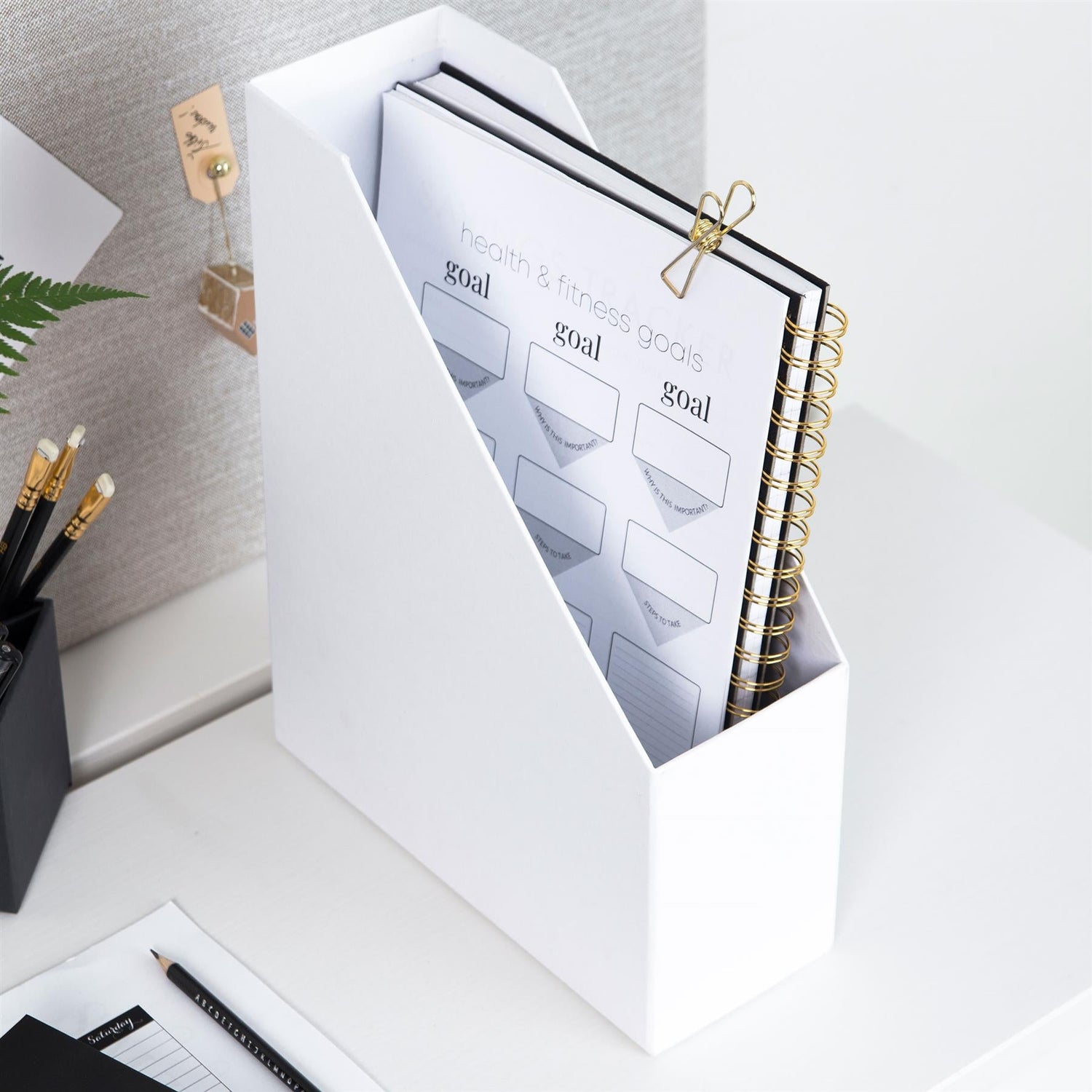 File and Magazine Box with Label Holder - Set of 6 - Not A Boring Box