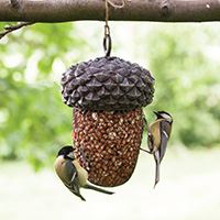 Acorn Bird Feeder