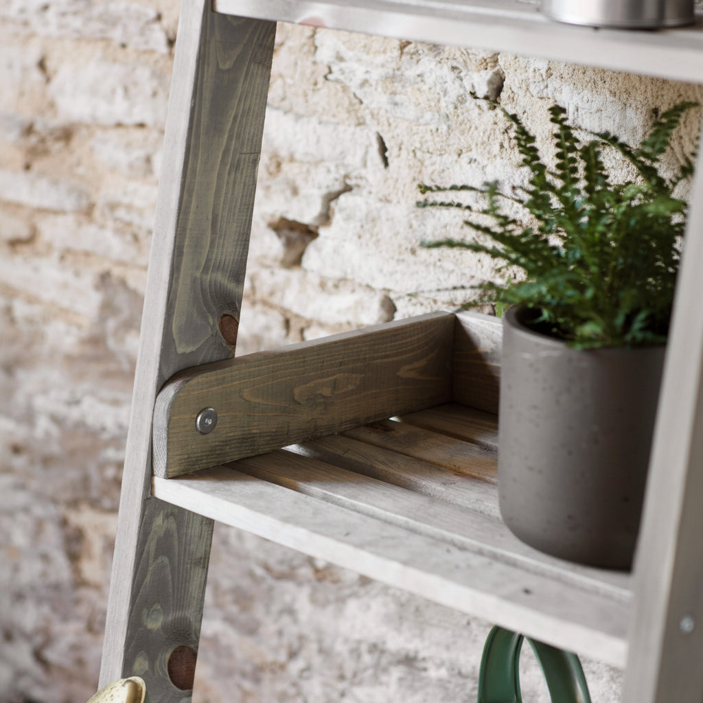 Wooden ladder with a plant on a stone wall background