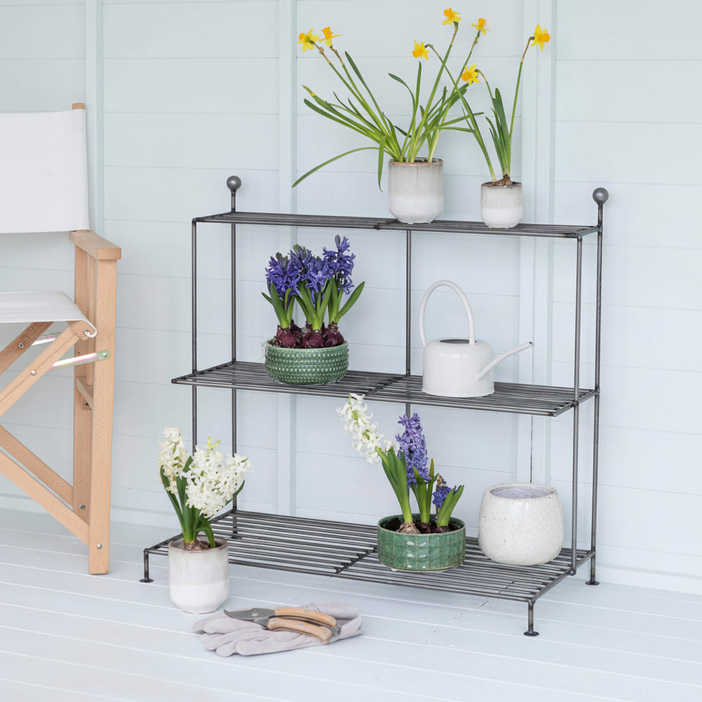 Three-tier metal plant stand with potted plants against a light blue wall.