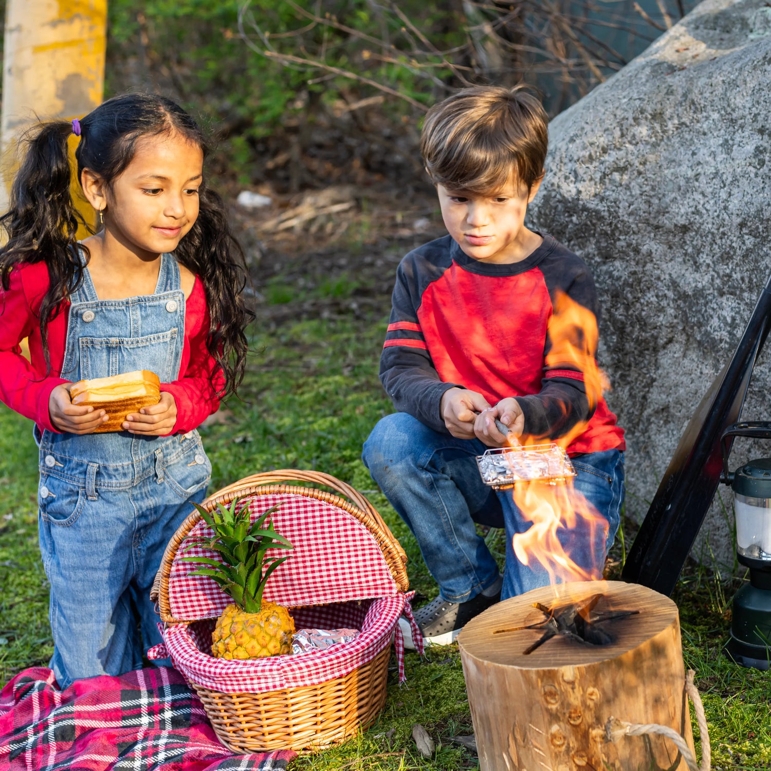 Stainless Steel Campfire Toasting & Grilling Cage