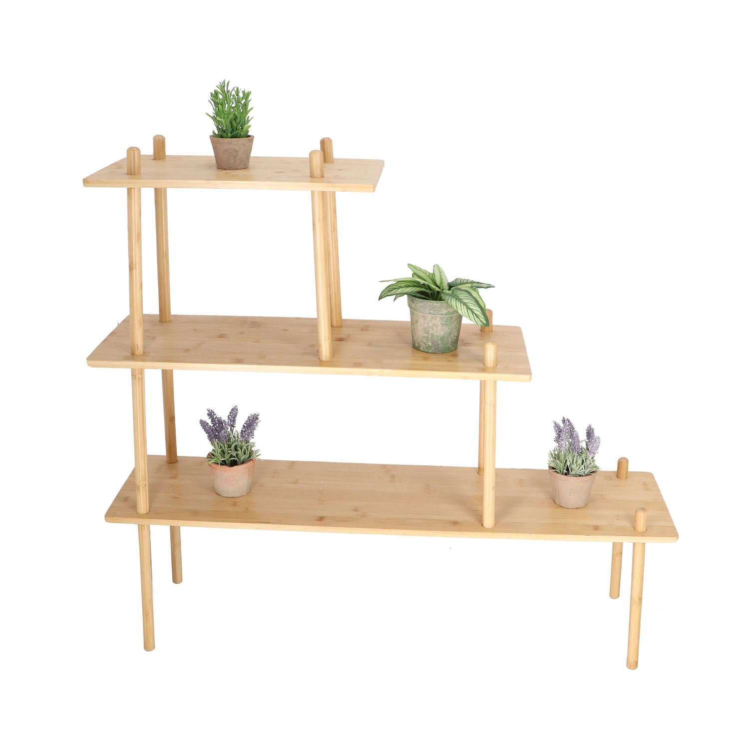 Three-tier wooden shelf with potted plants on a white background