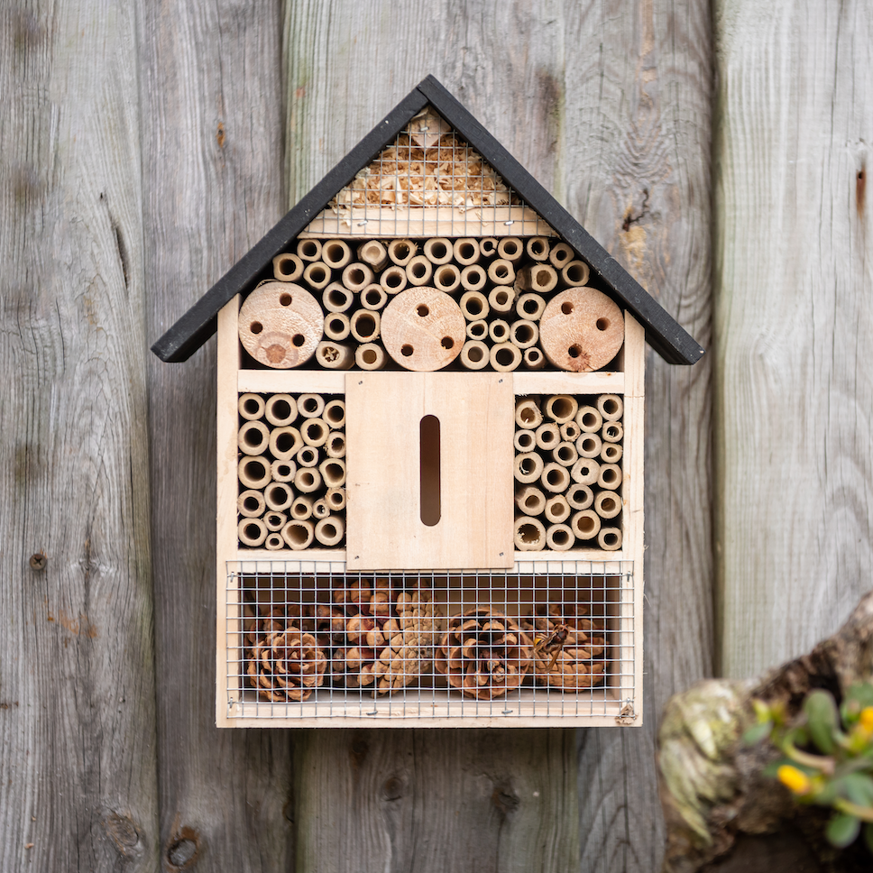 XL Insect Hotel