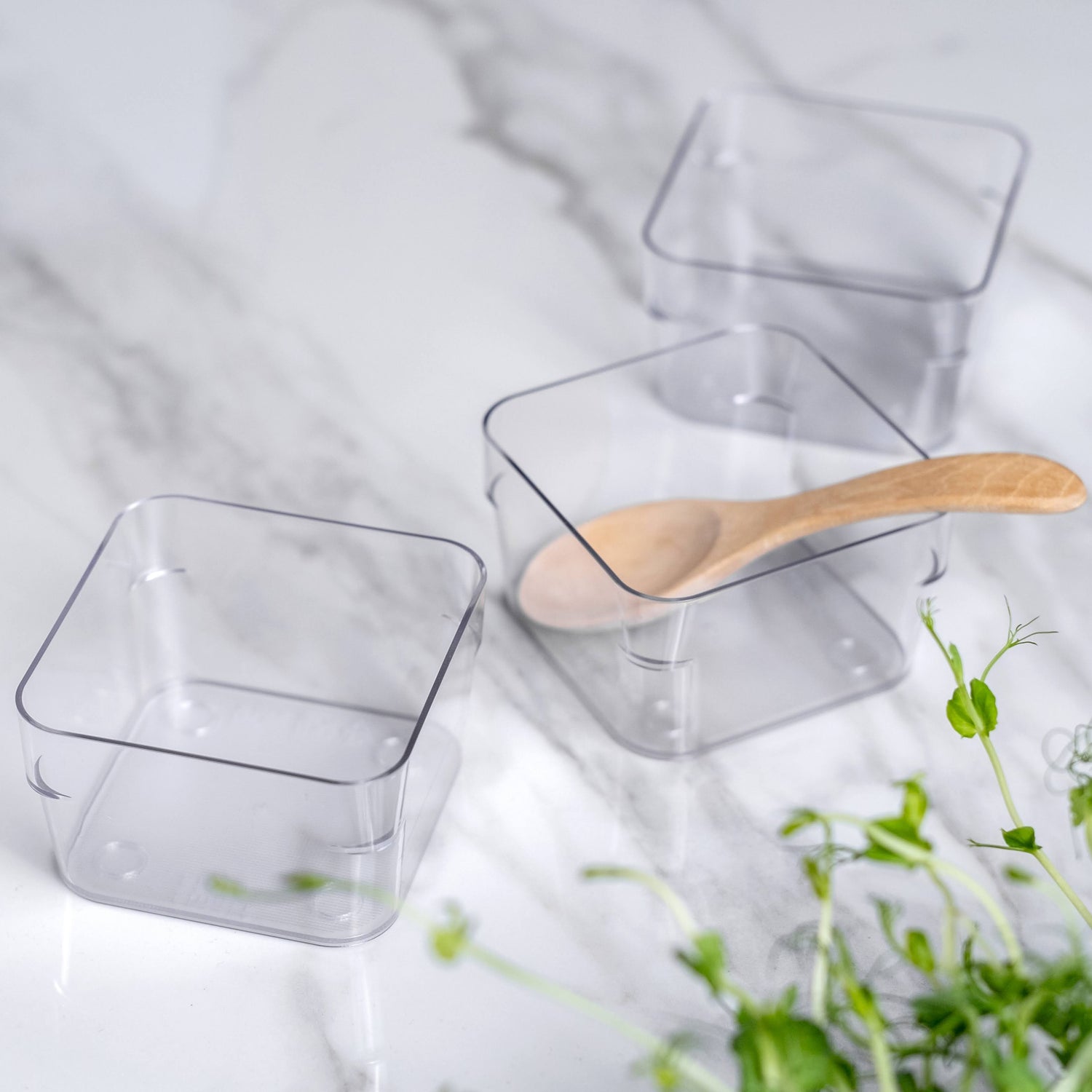Clear glass containers with a wooden spoon on a white background