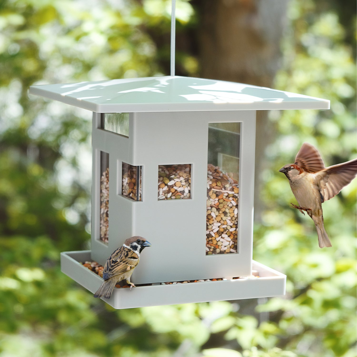 Bird Feeder Bird Cafe