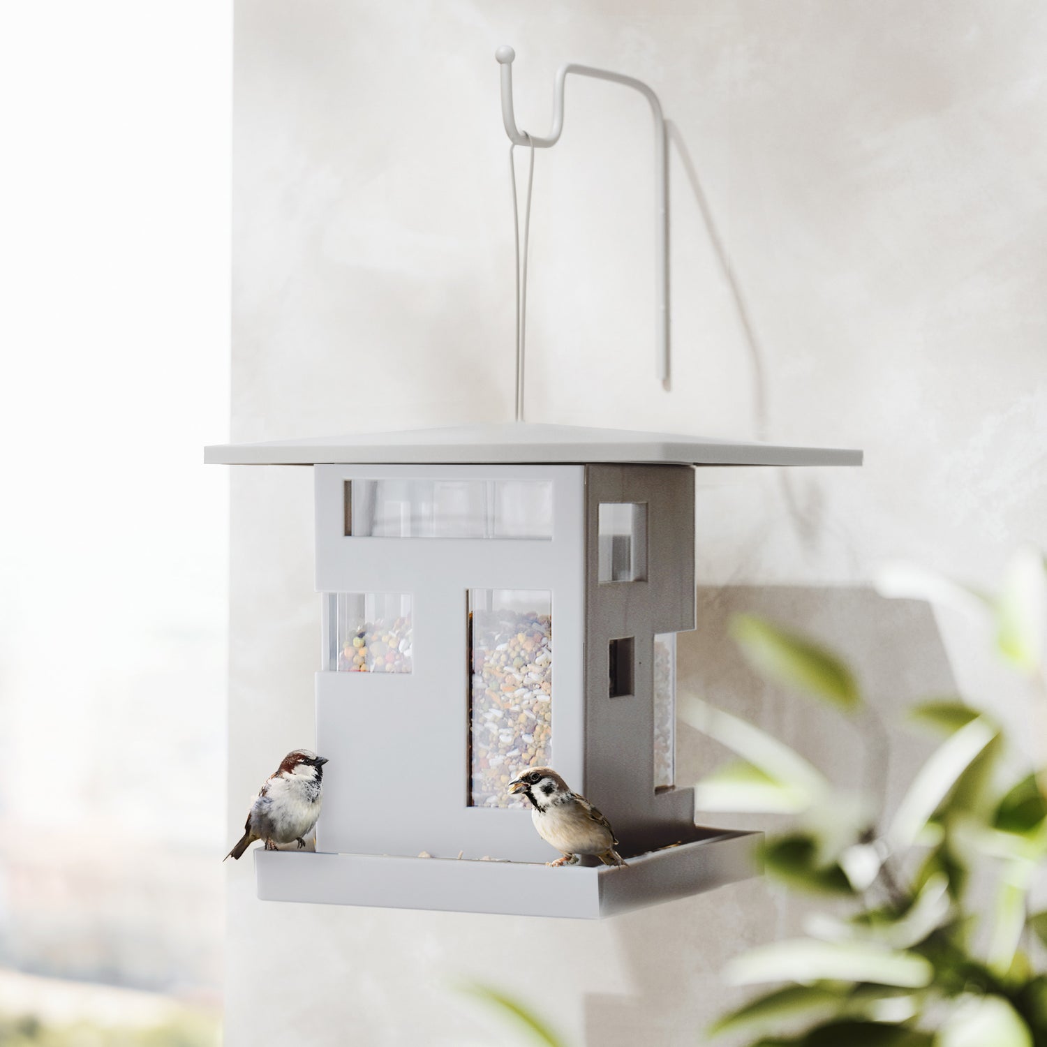 Bird Feeder Bird Cafe - Not A Boring Box