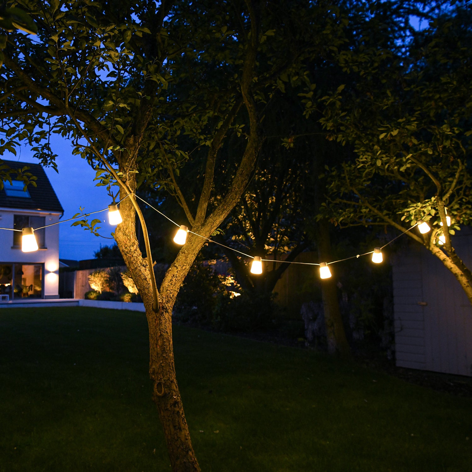 Festoon Lights - Not A Boring Box