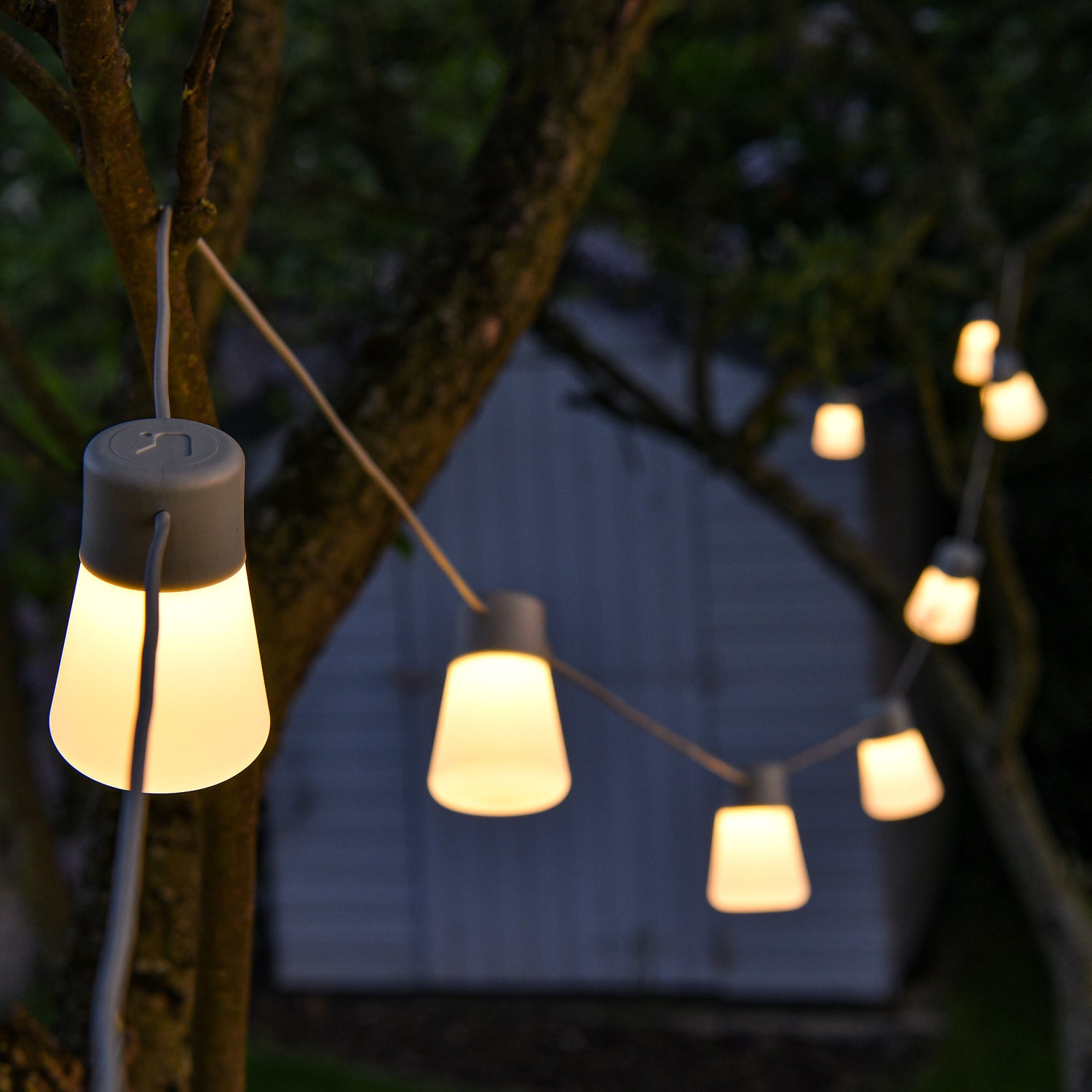 Festoon Lights - Not A Boring Box