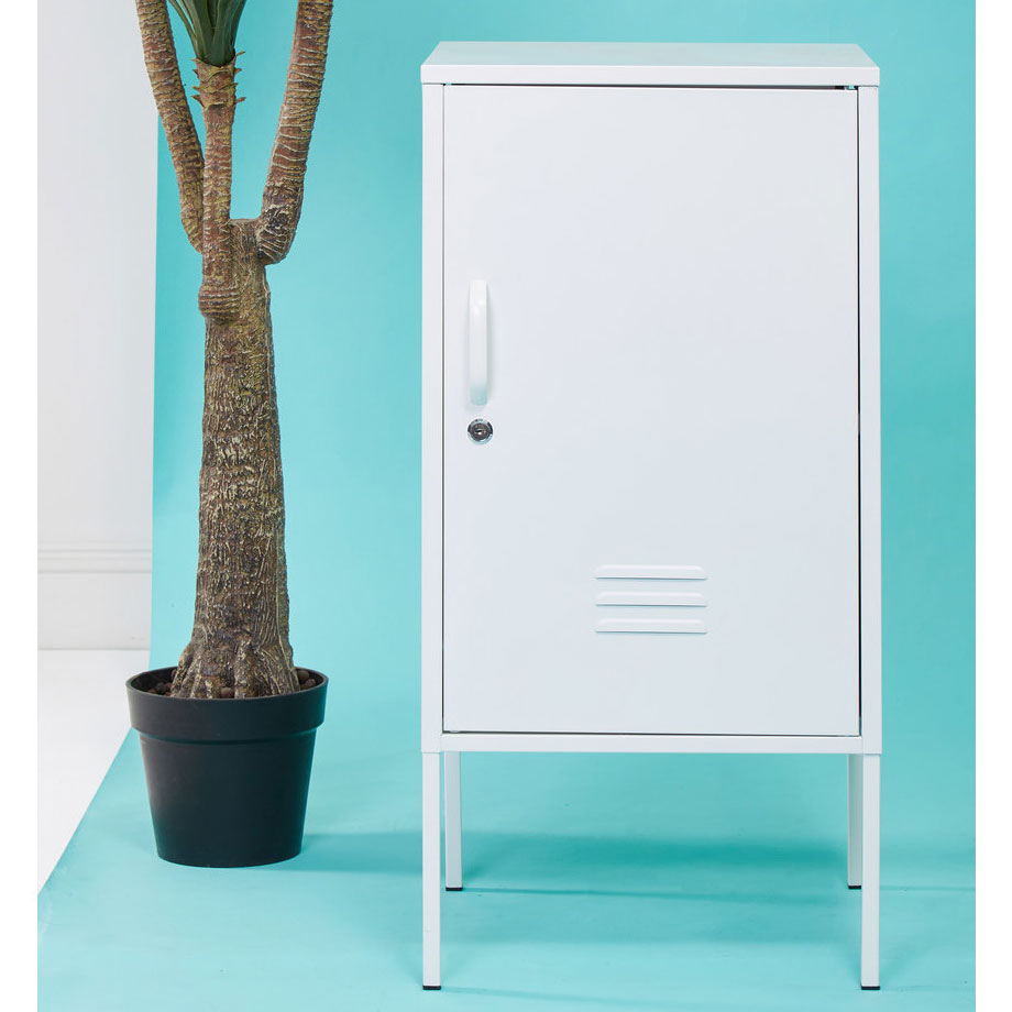 Short Storage Locker - Not A Boring Box