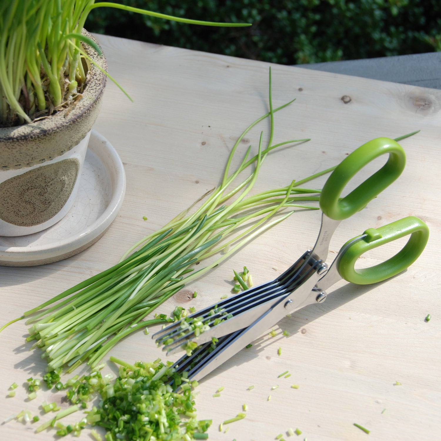 Herb Scissors - Not A Boring Box