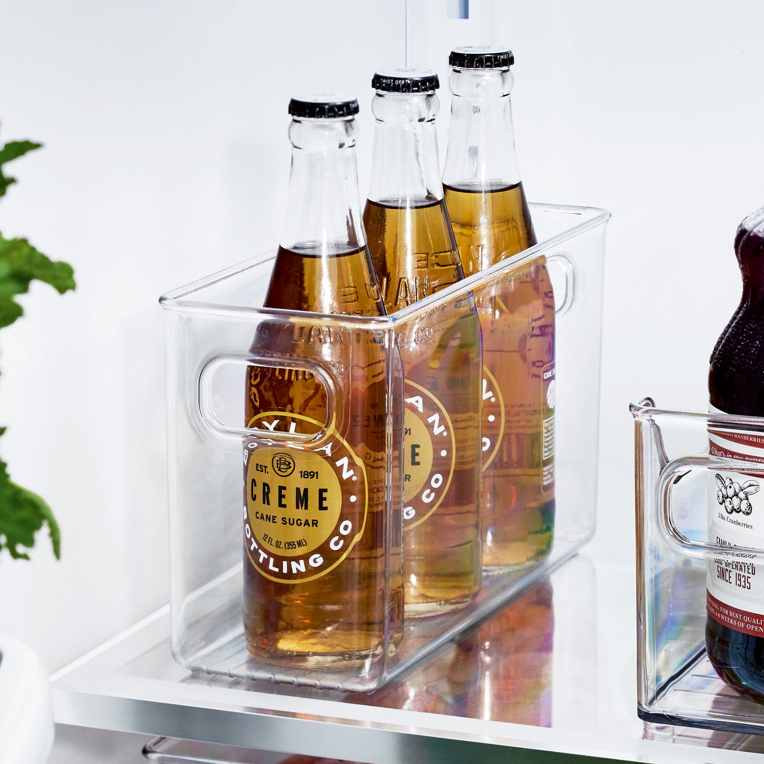 Fridge and pantry storage container slim