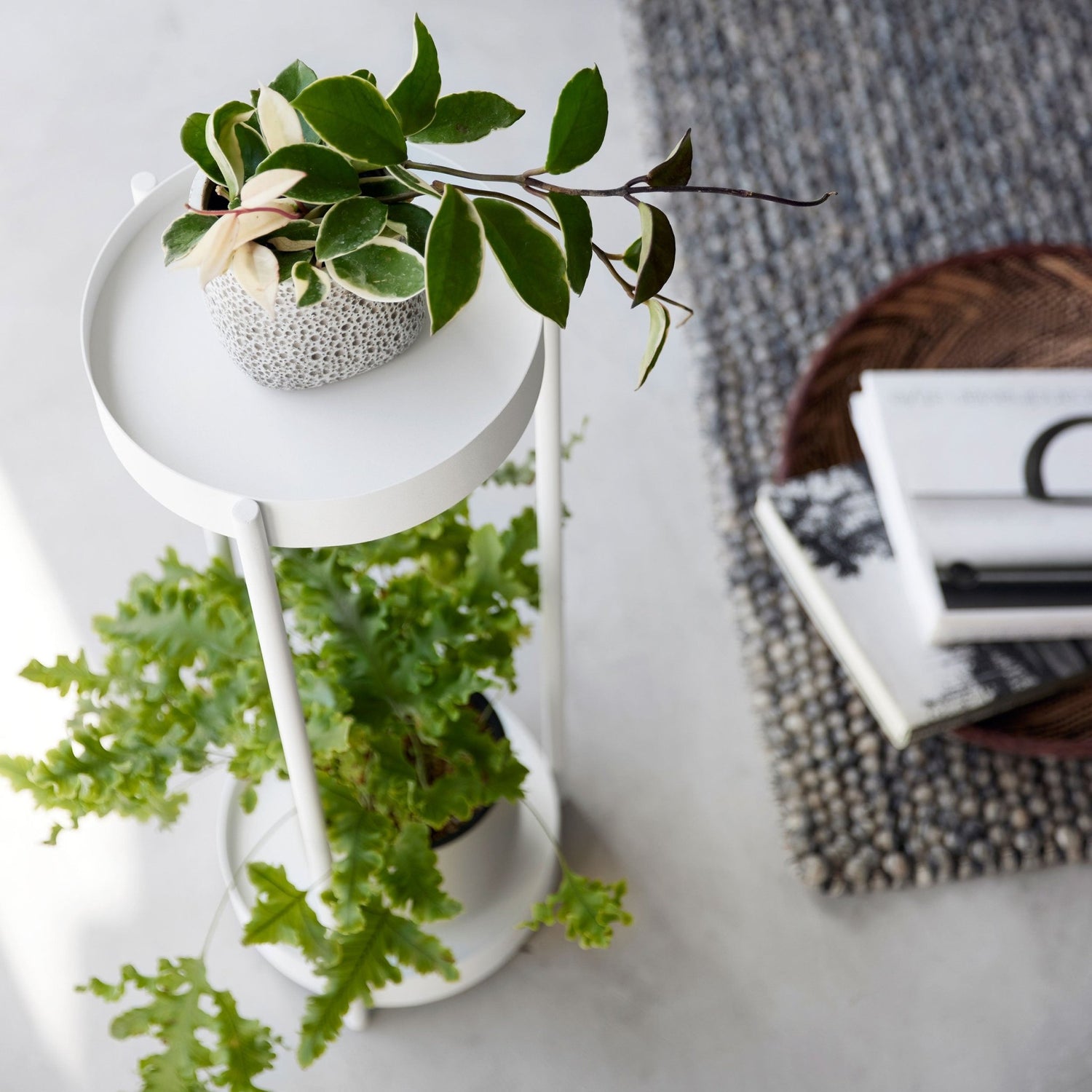 2 Tier Plant Stand with Castors - Not A Boring Box APFE