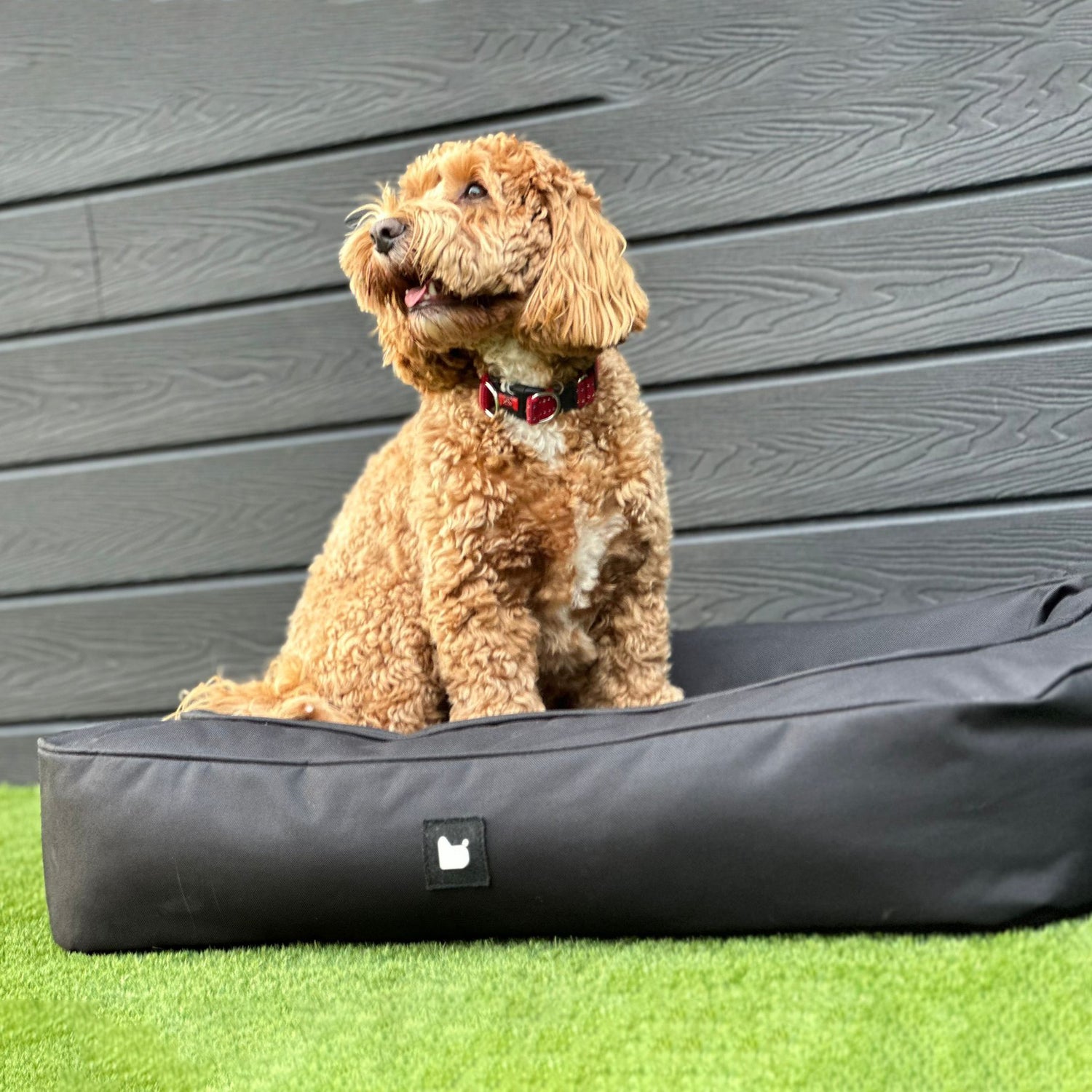Mini B Dog Bed - Not A Boring Box