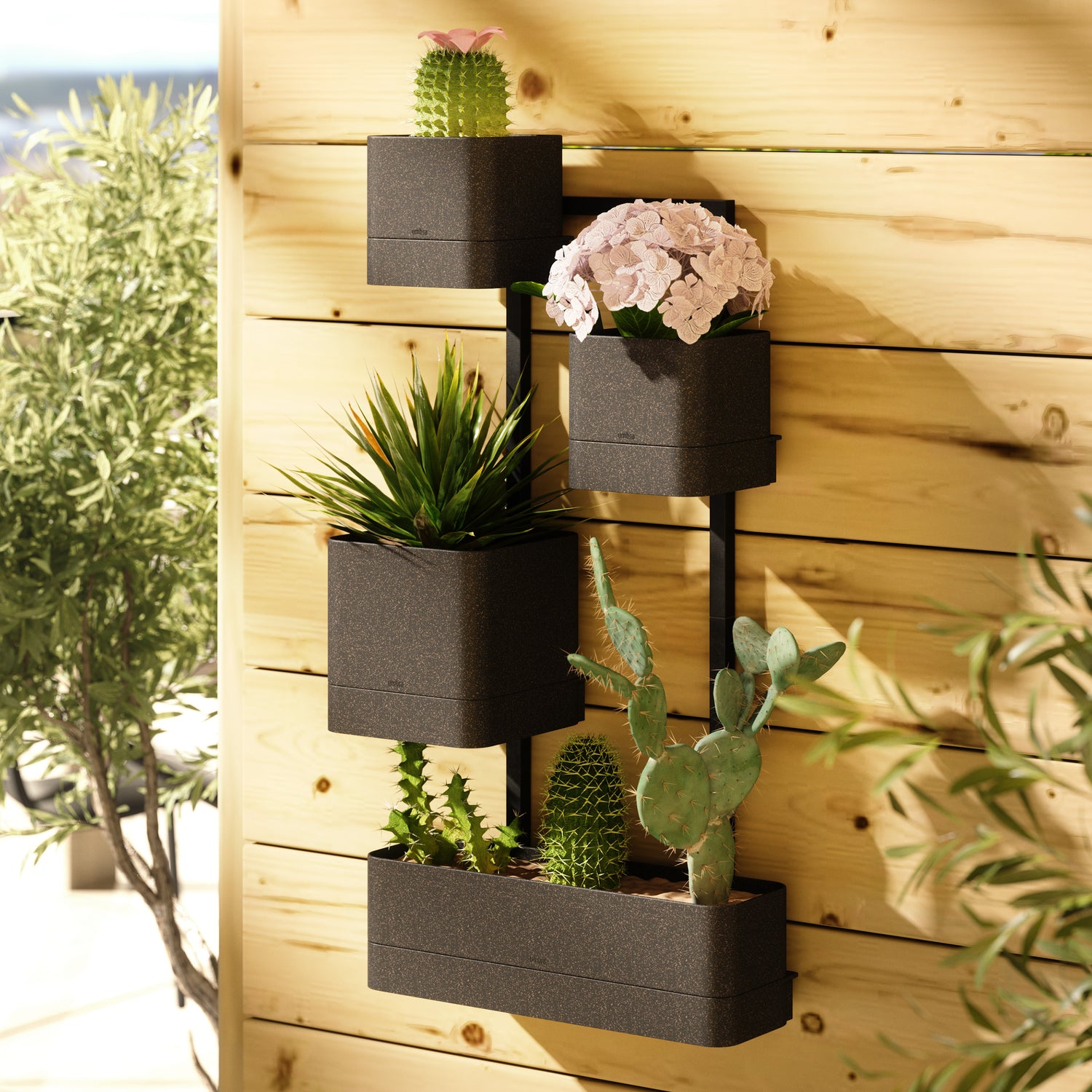 Wall Mounted Planter Cubiko