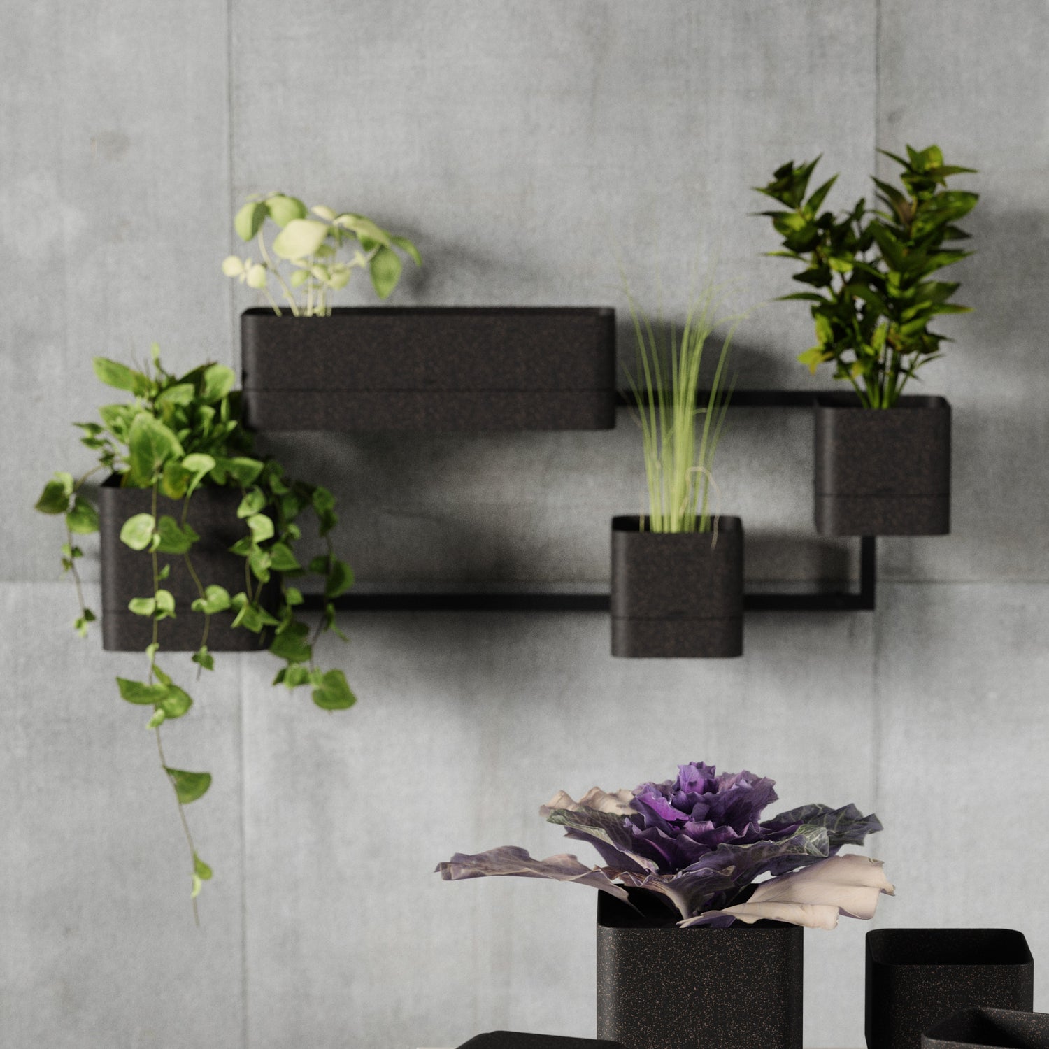 Wall Mounted Planter- Cubiko - Not A Boring Box