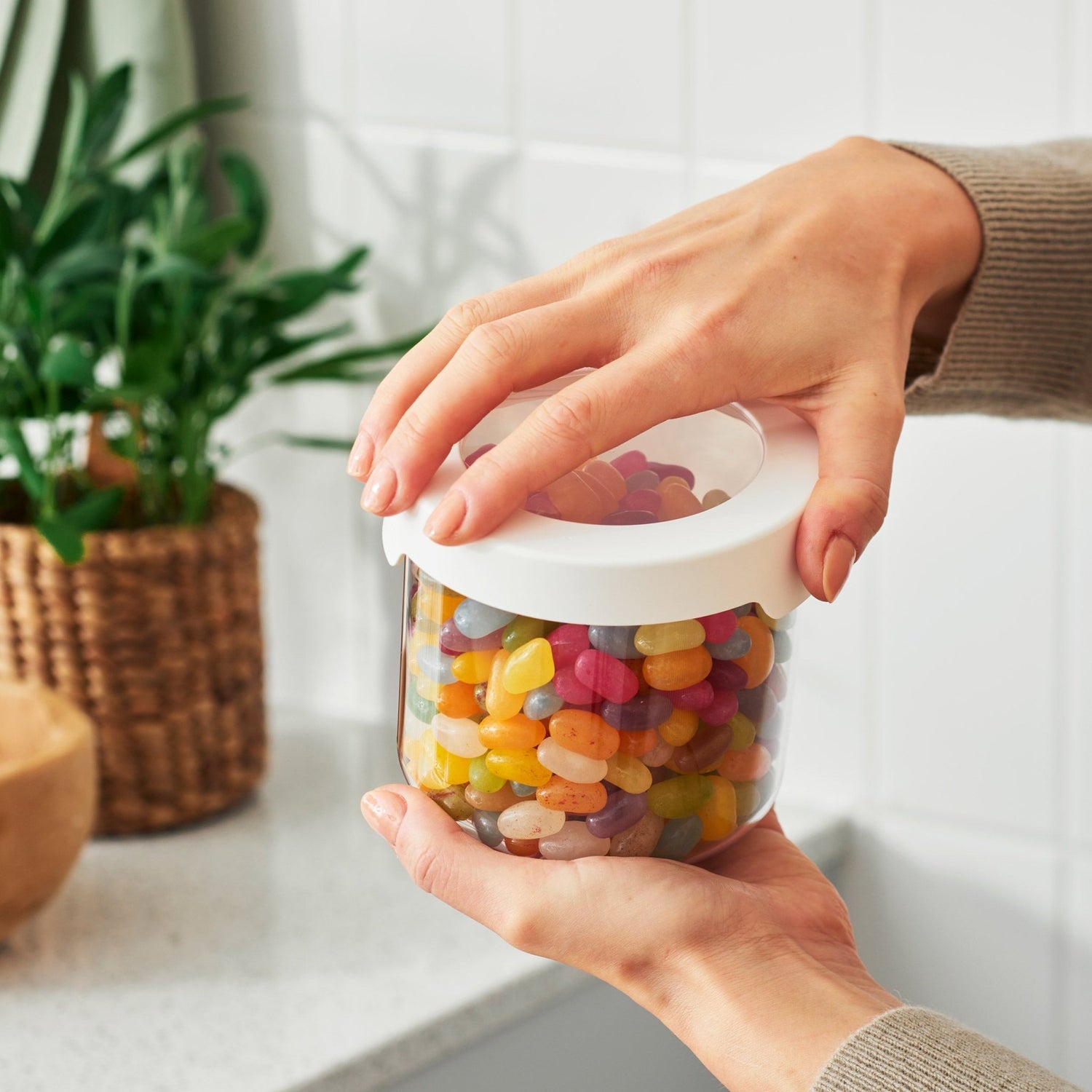 Dried Food Storage Container - 0.75L - Not A Boring Box APFE