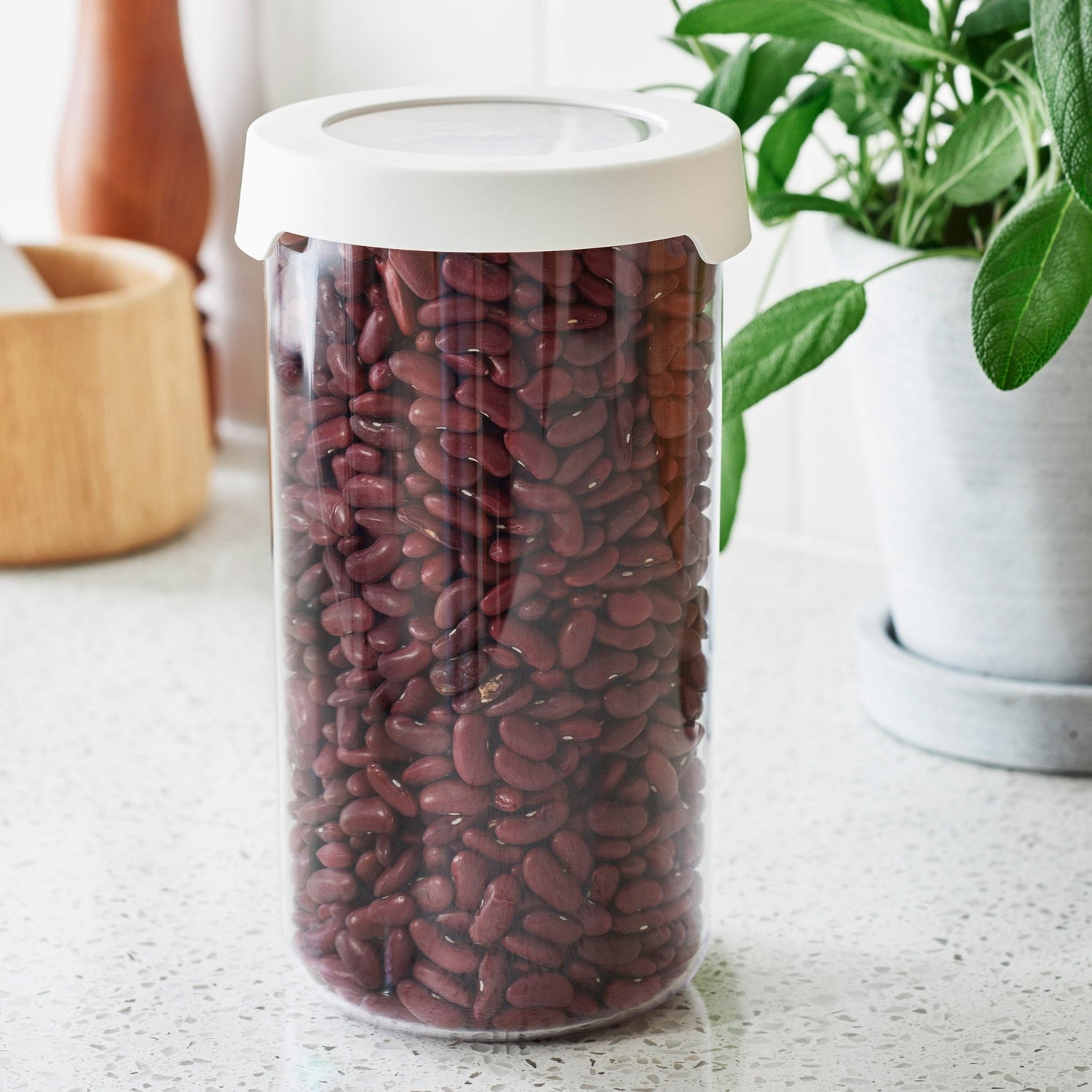 Dried Food Storage Container - 1.45L - Not A Boring Box APFE