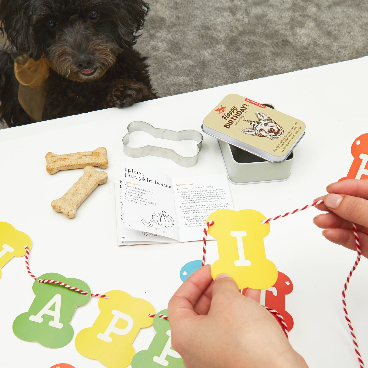 Dog Birthday Kit