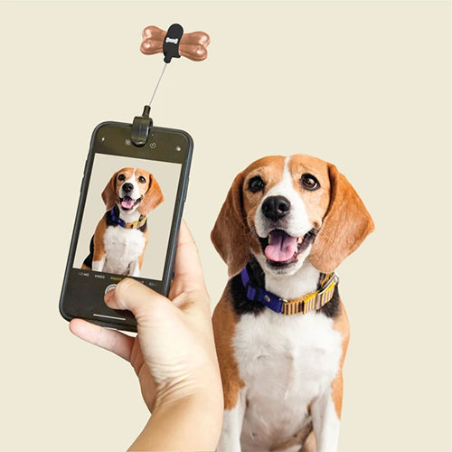 Dog Treat Selfie Clip - Not A Boring Box