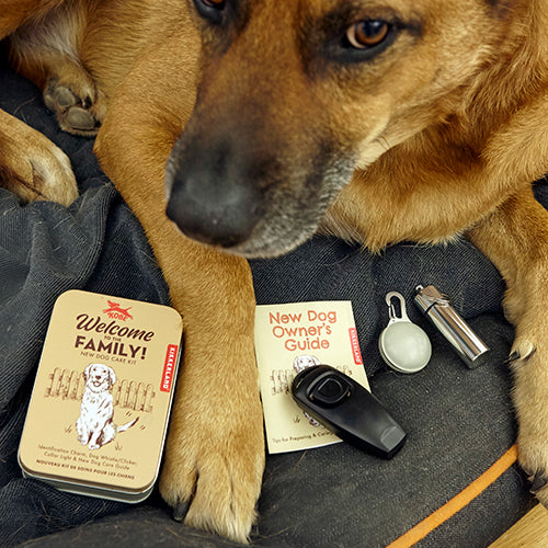 Welcome To The Family Dog Kit - Not A Boring Box
