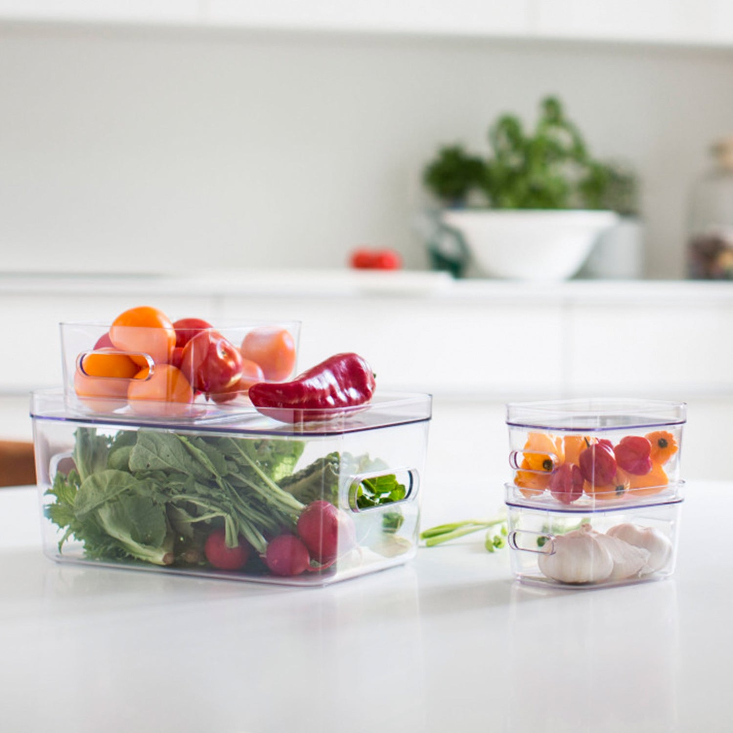 Clear Stacking Lidded Fridge Storage Box Bundle - Not A Boring Box