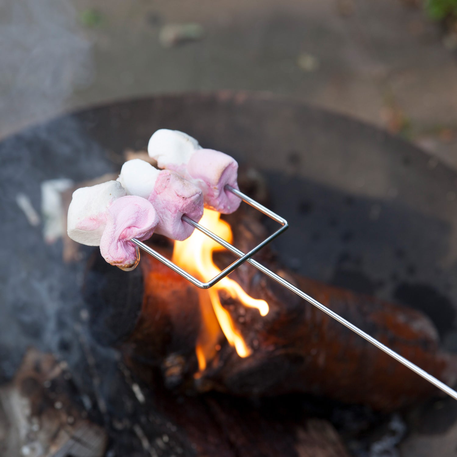 Marshmallow Toasting Fork - Not A Boring Box