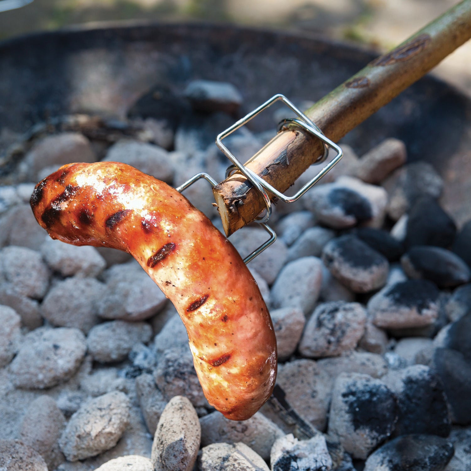 Tree Branch Grill Set Of 2 - Not A Boring Box