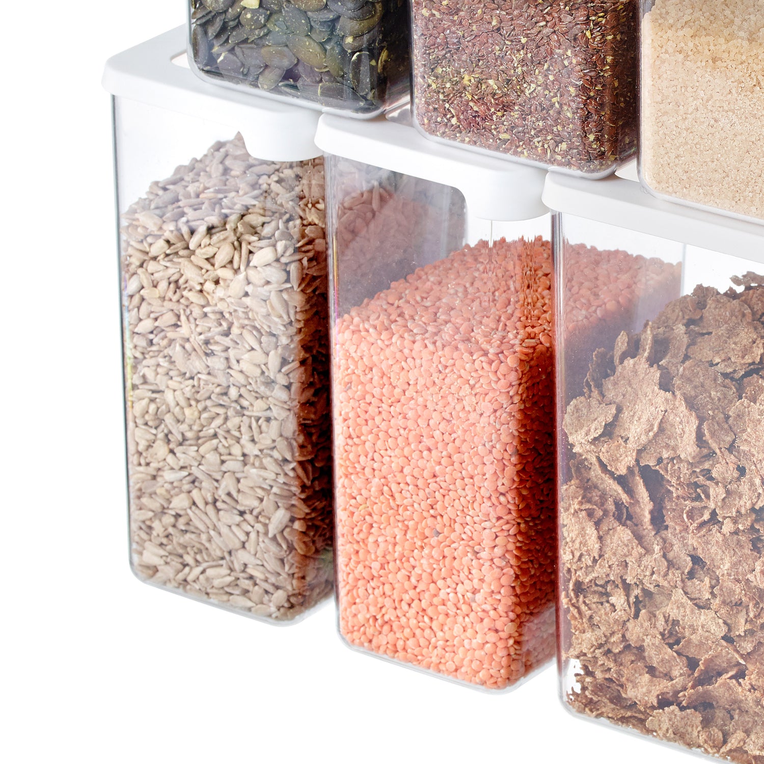 Airtight Dry Food Storage Container 1.6 Litre - Not A Boring Box