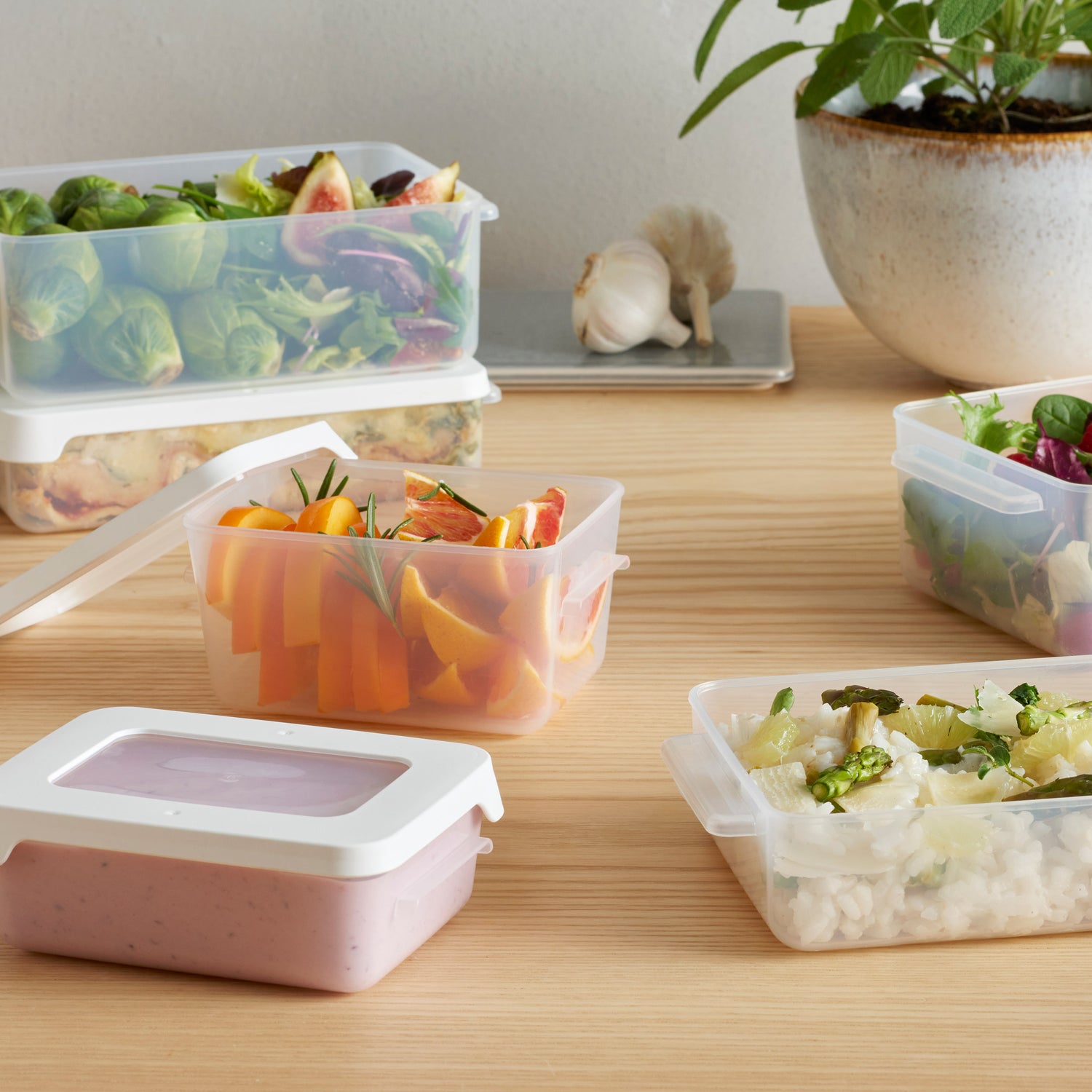 Airtight Food Storage Container 0 45 Litre - Not A Boring Box