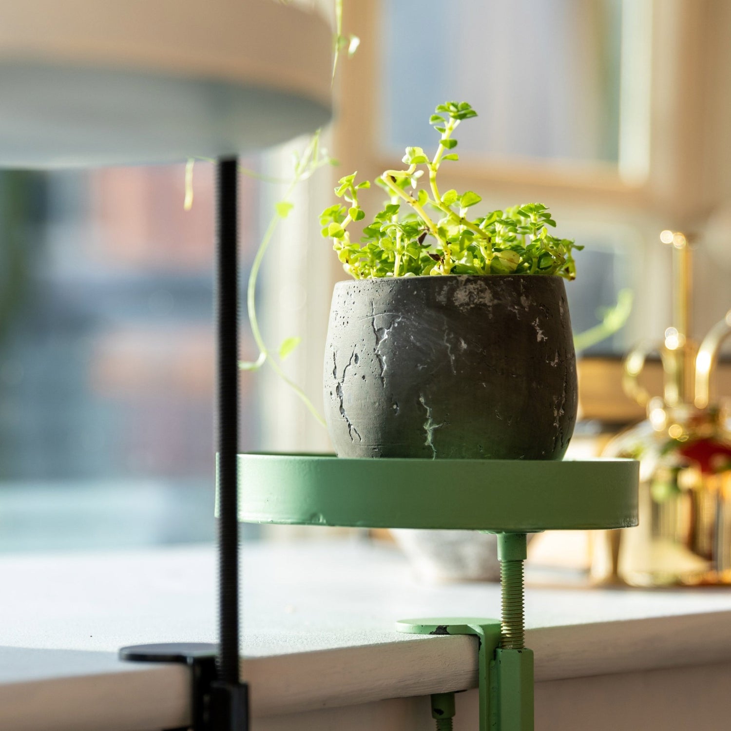 Windowsill Clamp Tray - Small - Not A Boring Box APFE