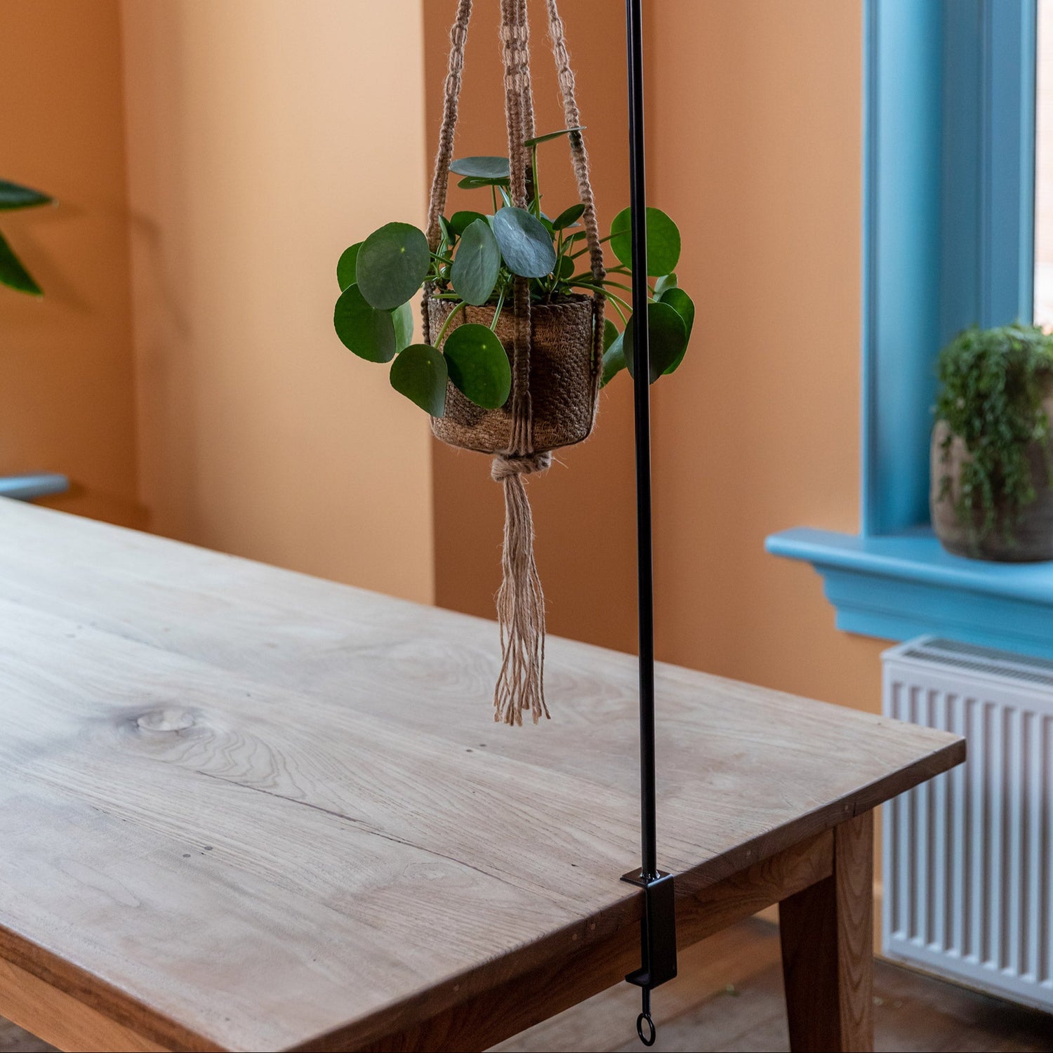 Hanging plant holder with a plant on a wooden table against an orange wall.