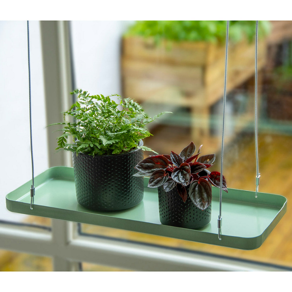 Hanging Plant Tray - Not A Boring Box