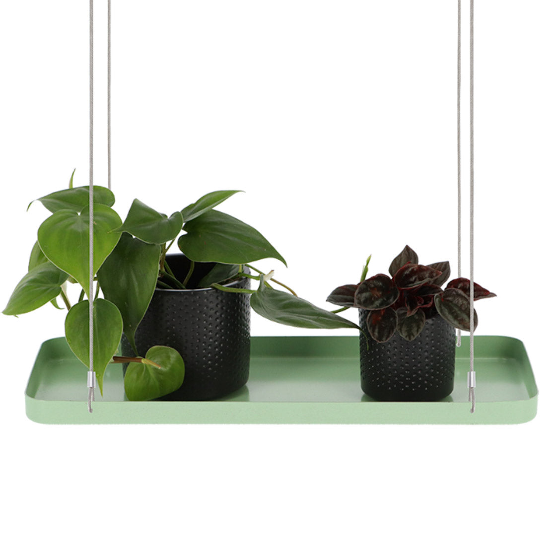Hanging Plant Tray - Not A Boring Box