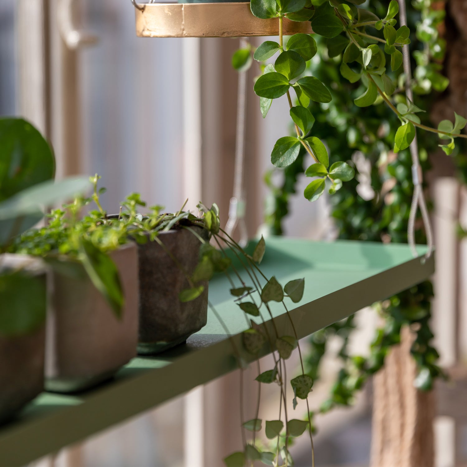 Hanging Plant Tray - Not A Boring Box