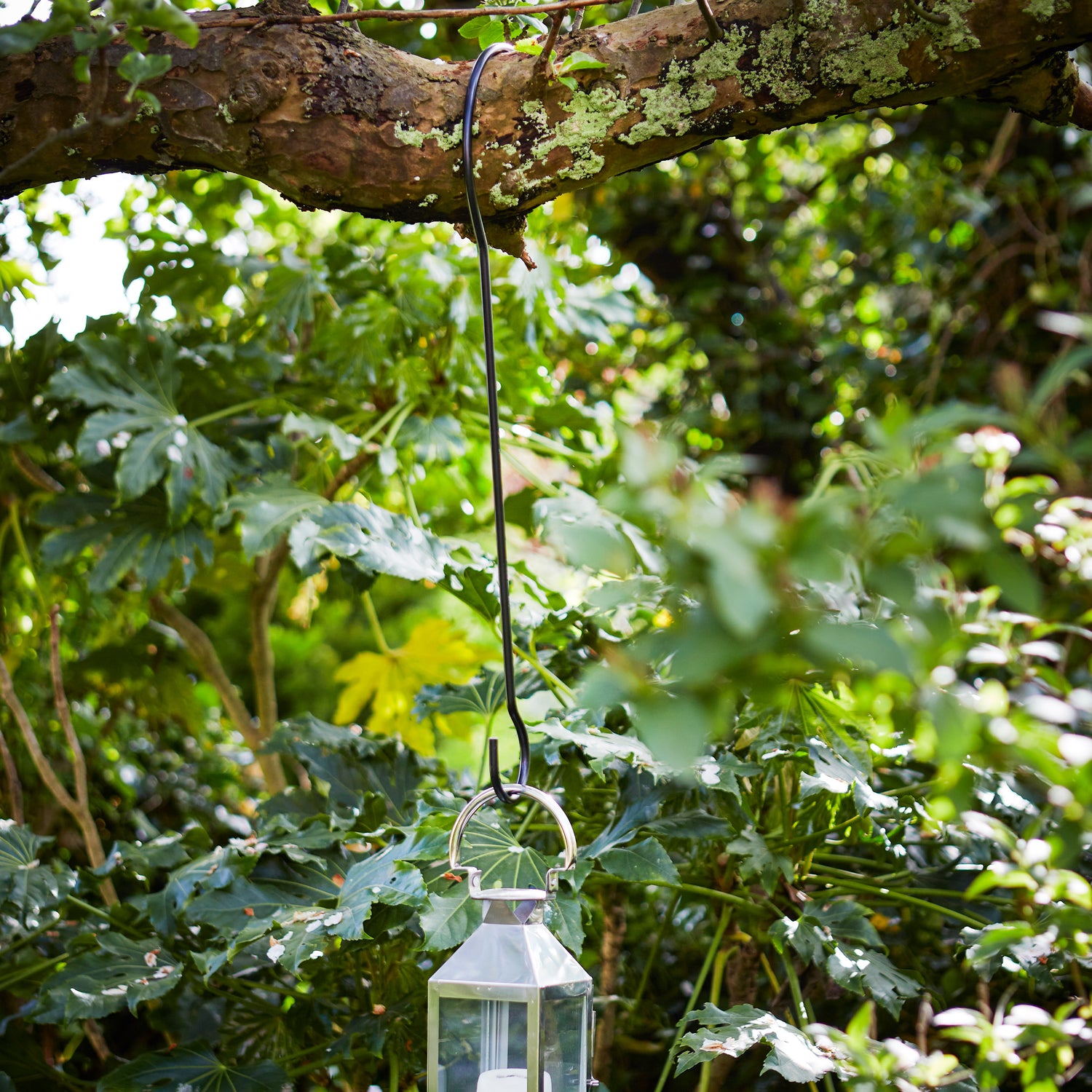 Tree Branch Hook - Not A Boring Box