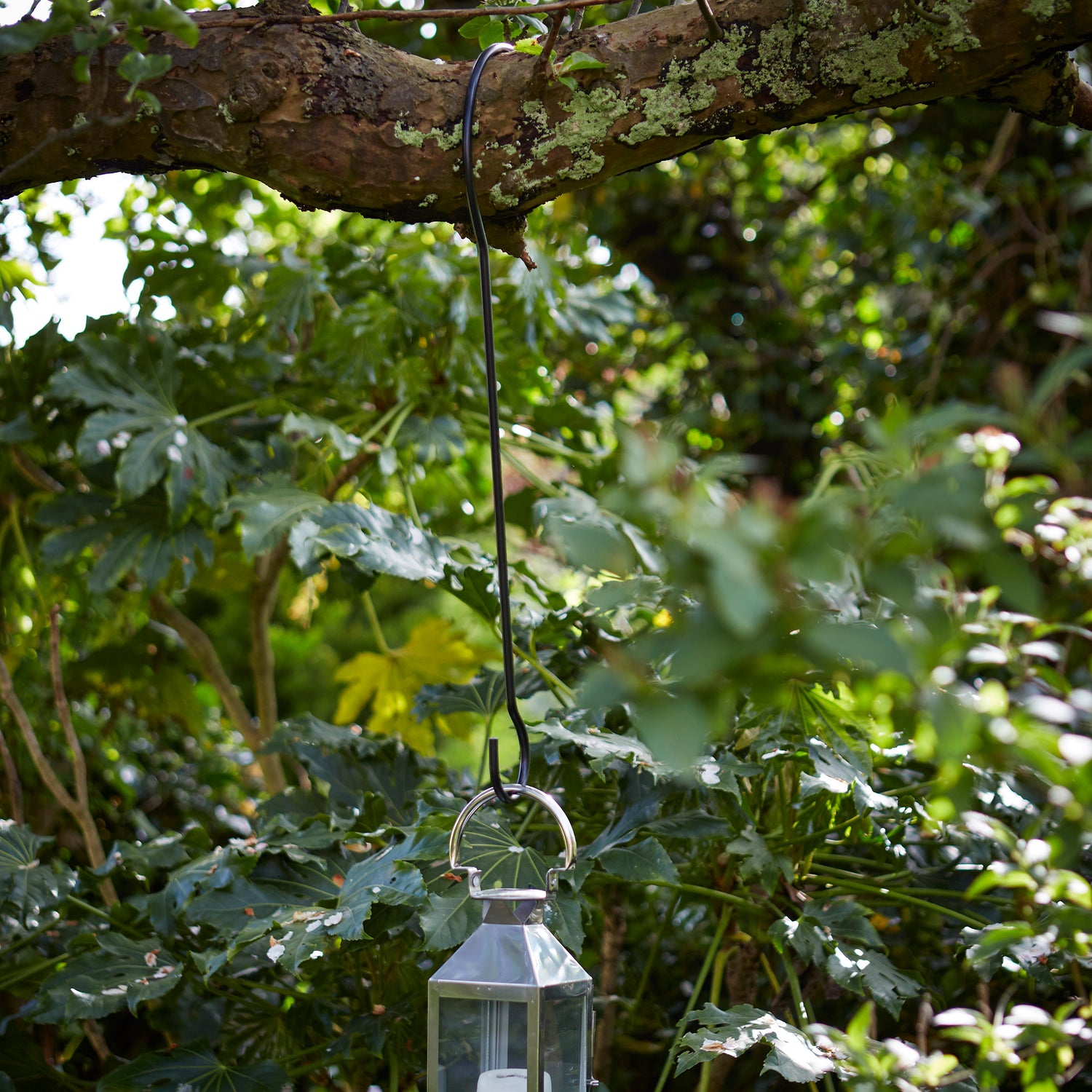 Tree Branch Hook - Not A Boring Box