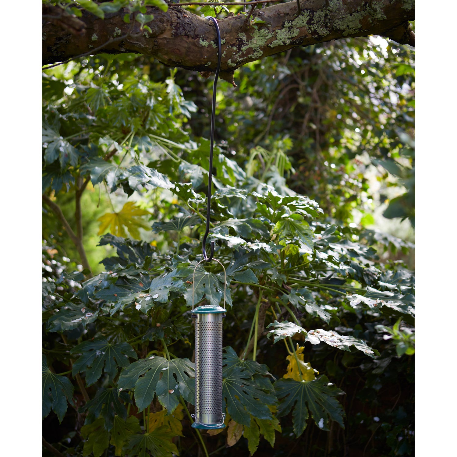 Tree Branch Hook - Not A Boring Box