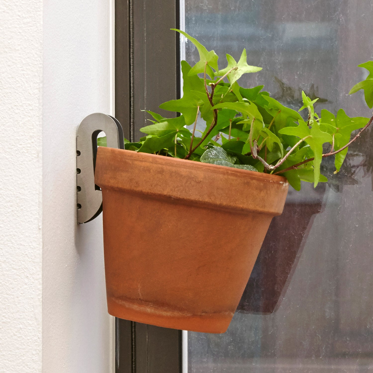 Floating Plant Hangers