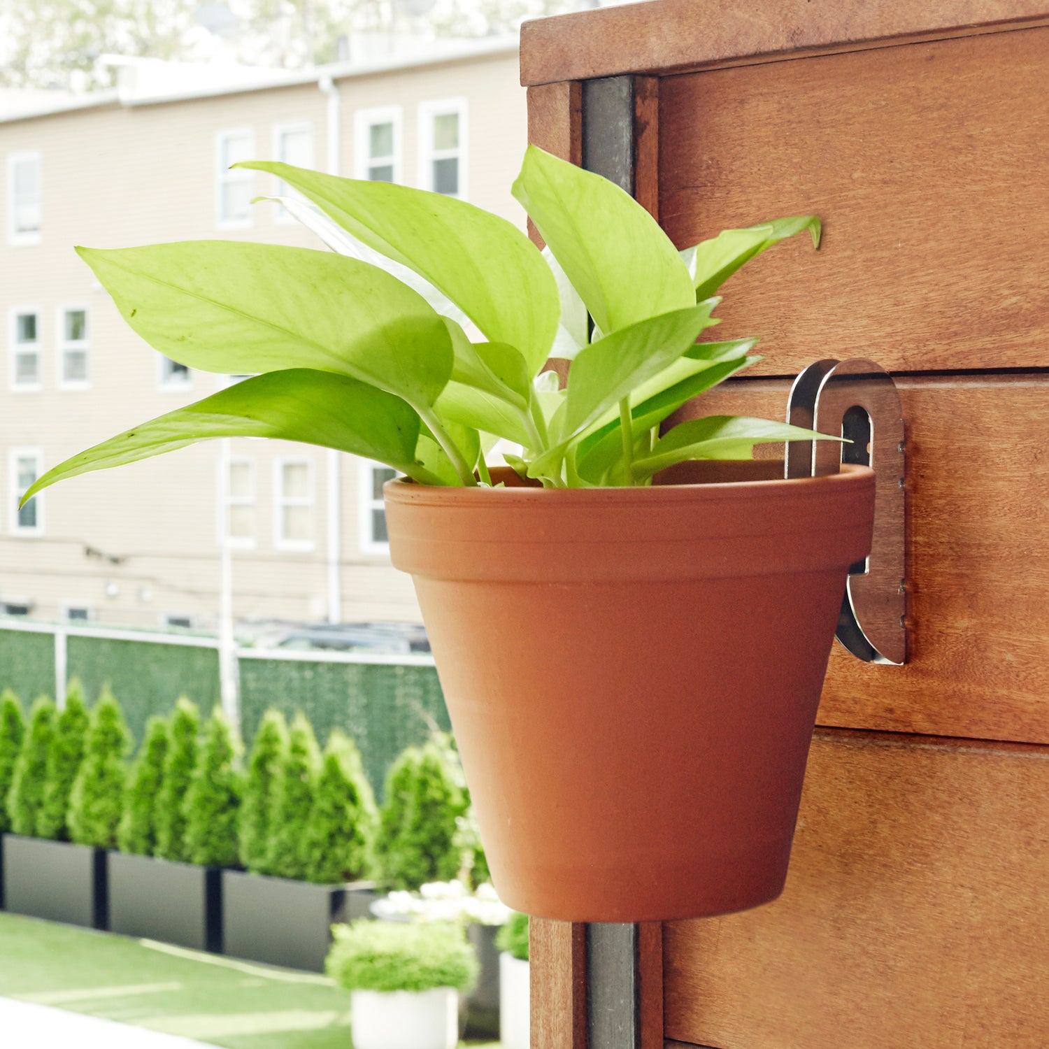 Floating Plant Hangers - Not A Boring Box