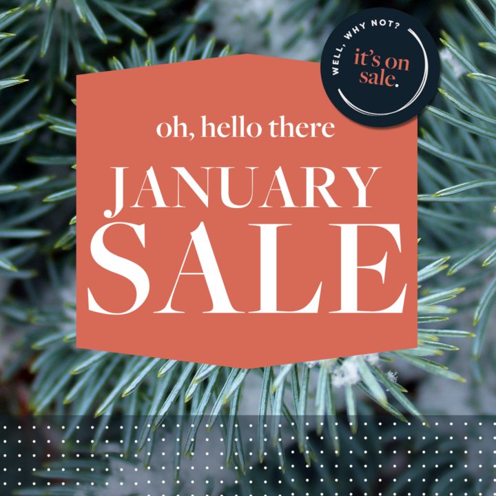 January Sale