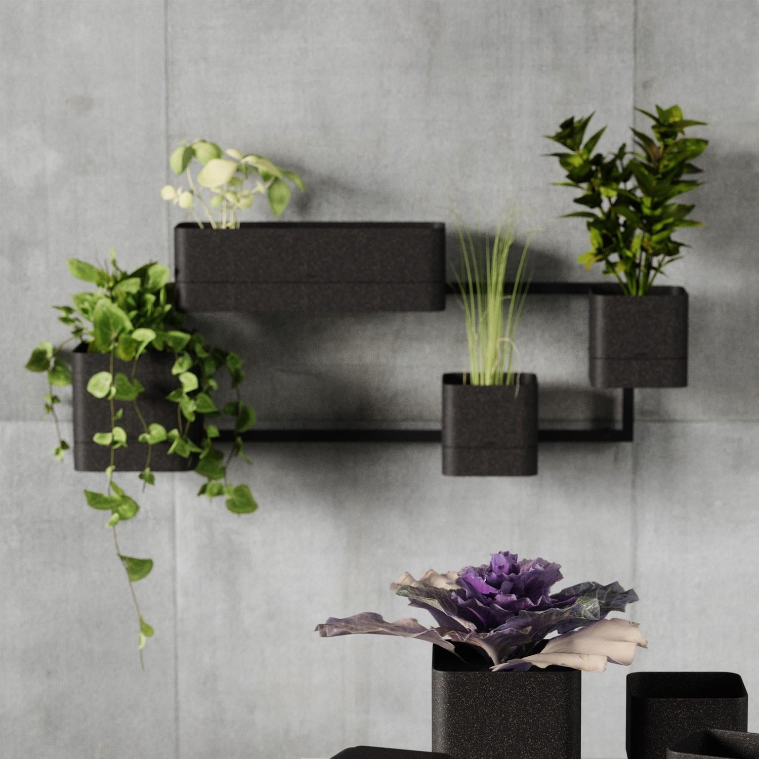 Wall Mounted Planter - Cubiko
