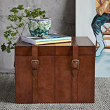 Buffalo Leather Storage Trunk - Medium - Not A Boring Box APFE
