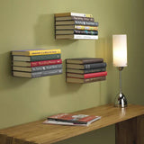 Large Conceal Book Shelf Set Of 3 - Not A Boring Box