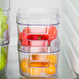 Extra Small Clear Stacking Lidded Fridge Storage Box
