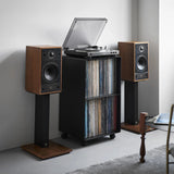 2-Tier Vinyl Record & Turntable Storage Rack