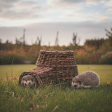 Hedgehog House