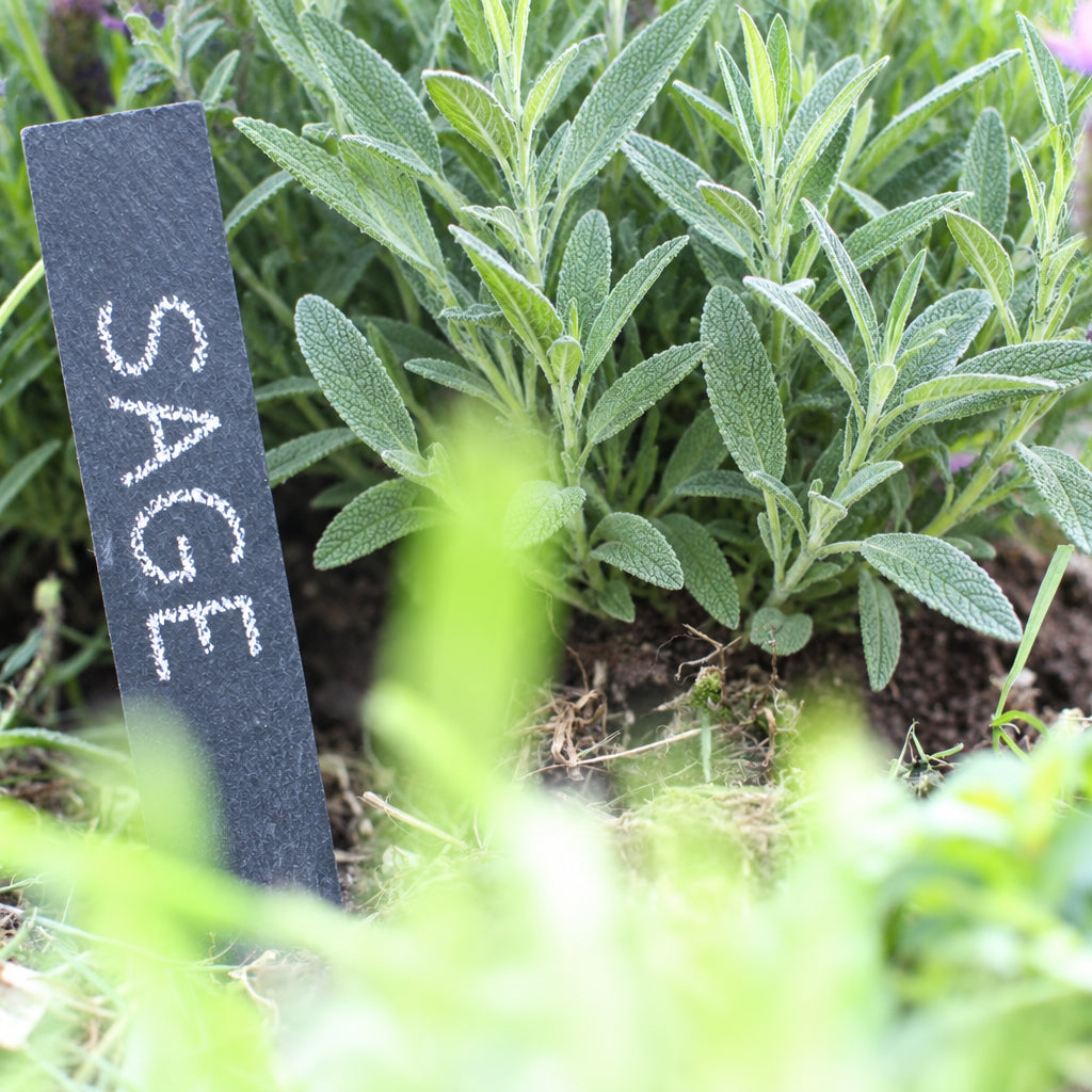 6 x Slate Plant Markers