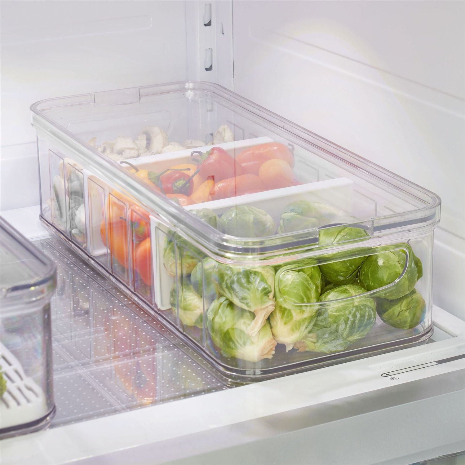 Fridge and Pantry Organiser with Dividers - Crisp Large - Not A Boring Box APFE