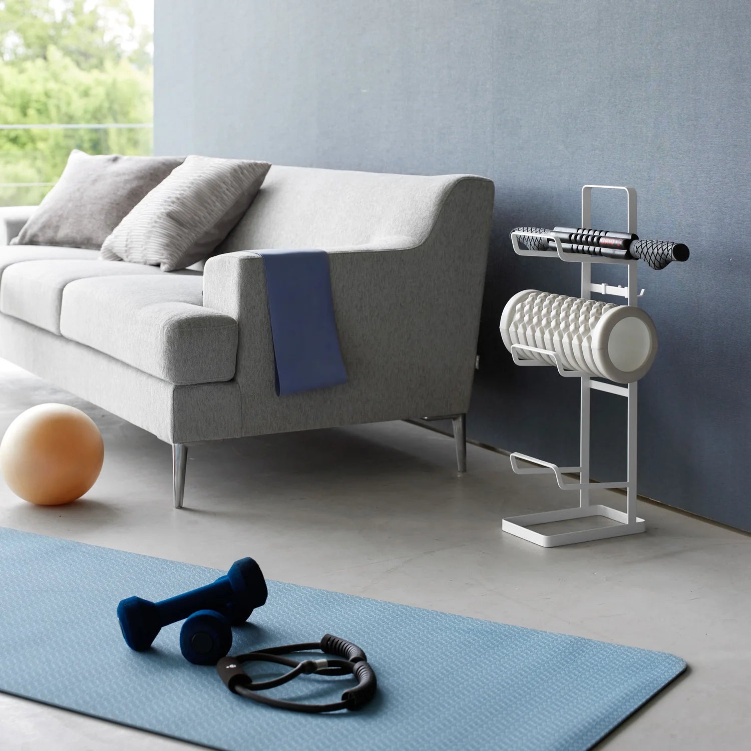 Fitness Equipment Storage Rack